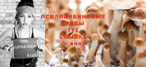 прущая мука Белокуриха