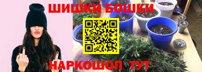 молекула духа Волжский