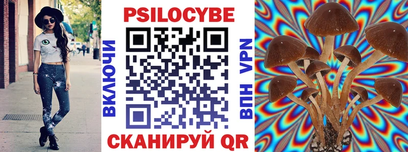 Псилоцибиновые грибы мицелий  Горно-Алтайск 