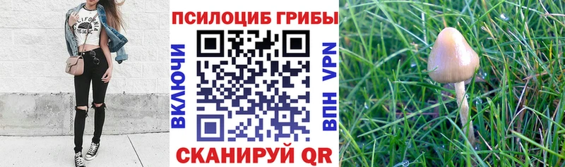 Галлюциногенные грибы Magic Shrooms Горно-Алтайск