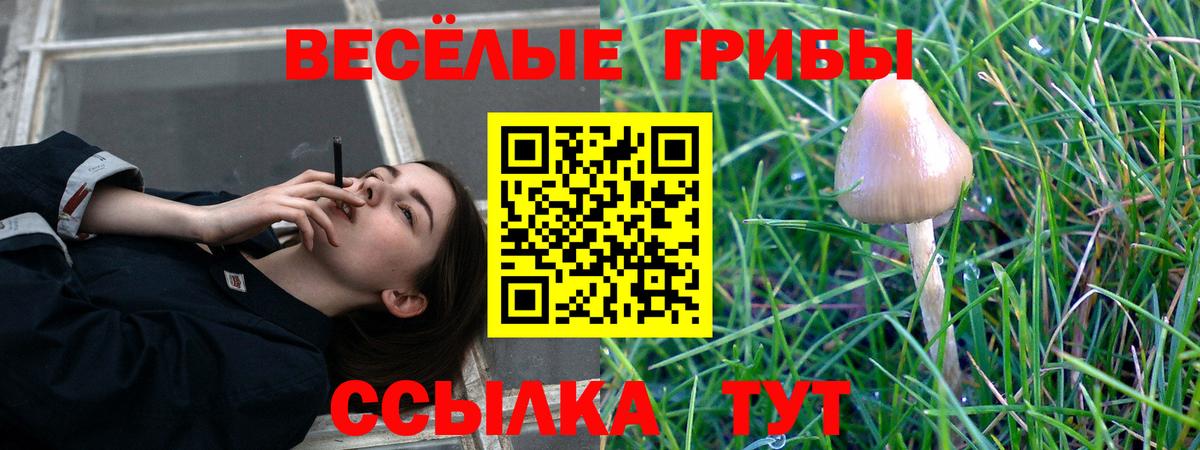 Горно-Алтайск  Галлюциногенные грибы Magic Shrooms  закладка  Вход с VPN 