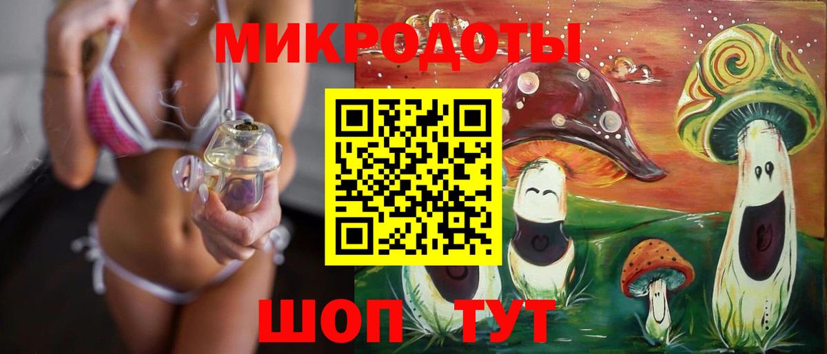 Галлюциногенные грибы мицелий Горно-Алтайск