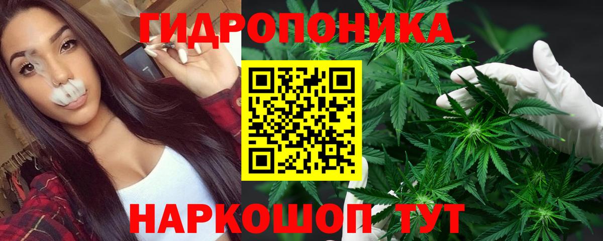 Каннабис планчик  Каннабис Amnesia  Горно-Алтайск  Бошки марихуана Ganja  Канабис THC 21% 